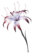Phantom Blade Zero Flesh Lily