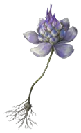Phantom Blade Zero Violet Blossom