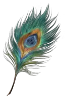 Phantom Blade Zero accessory Feather Fan Plume