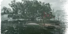 The Lake Banyan Dock bell