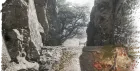 The Mirrorwood Entrance bell