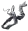 Dancer's Ribbon