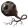 Eye of Insight
