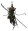 Statue of the Loyal Hero