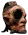Unnamed item