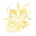 Shadowless Form
