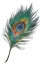Phantom Blade Zero Feather Fan Plume