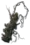Phantom Blade Zero Livingwood Talisman