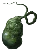 Phantom Blade Zero Serpent Gall: Green