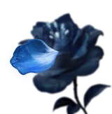 The Twin Heroes' Memory Flower